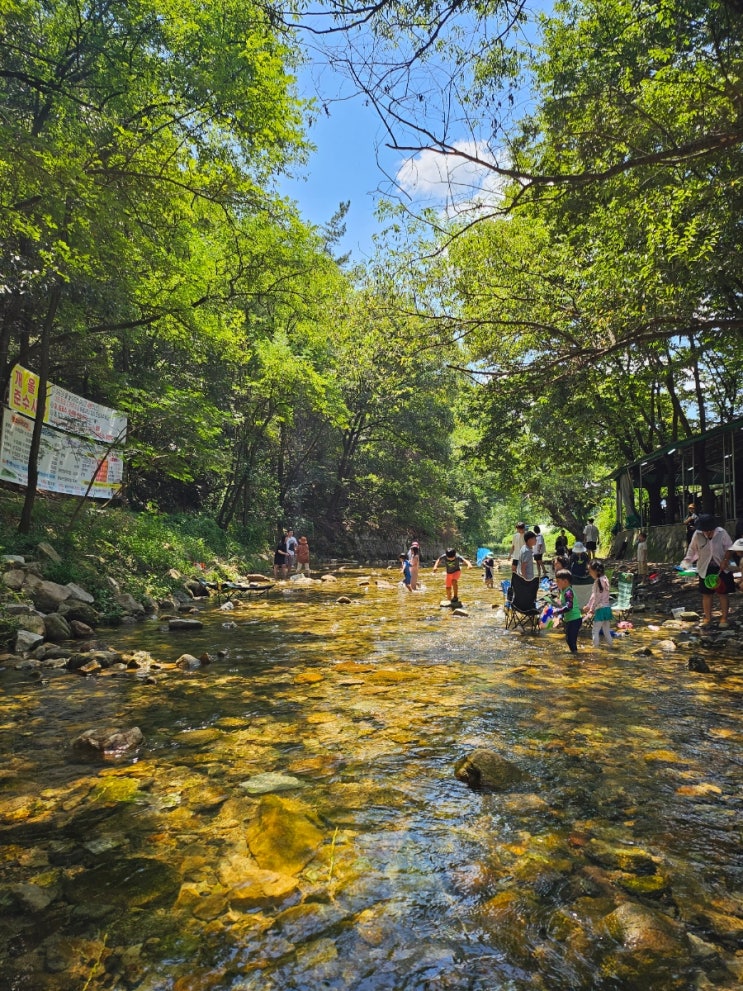 대구 근교 팔공산 계곡식당 매남골 (교통편,예약,메뉴,물놀이) 대구 근교 팔공산 계곡식당 매남골 (교통편,예약,메뉴,물놀이)