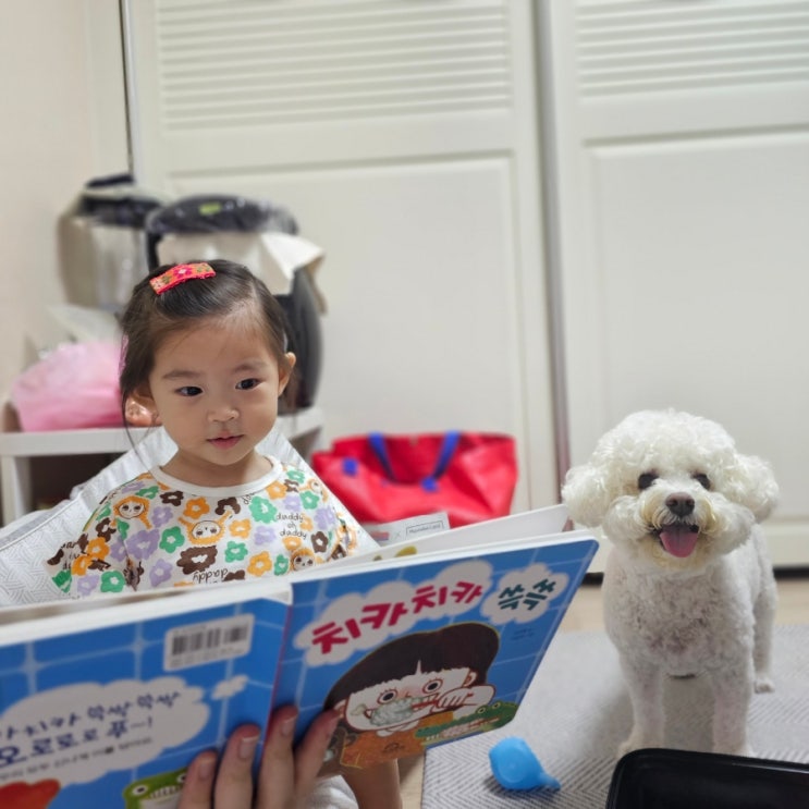  치카치카 쓱쓱 책육아로 아기 양치습관 바로 잡아요