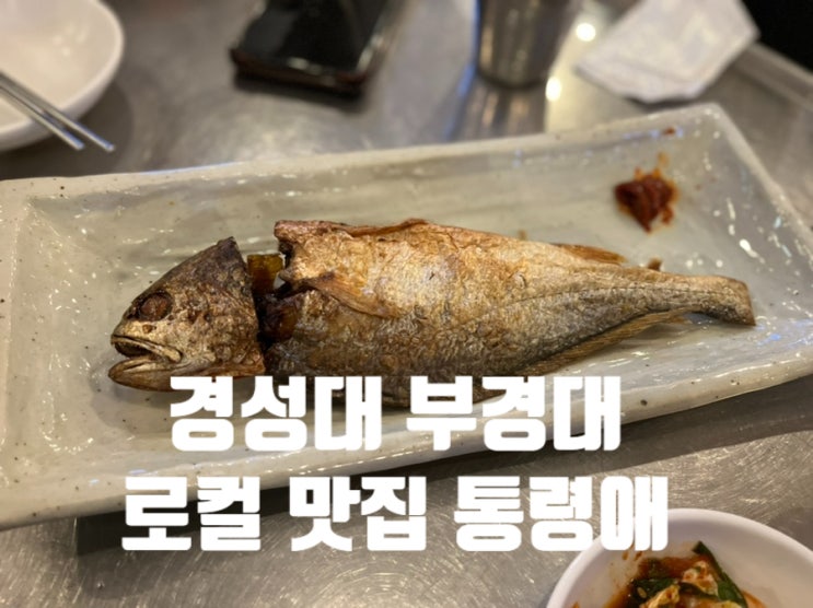  부산 경성대 부경대 로컬 술집 맛집 통령애 내돈내산 찐후기