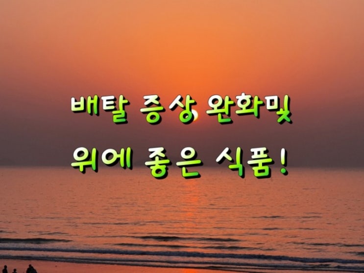 배탈 증상 완화및 위에 좋은 식품!