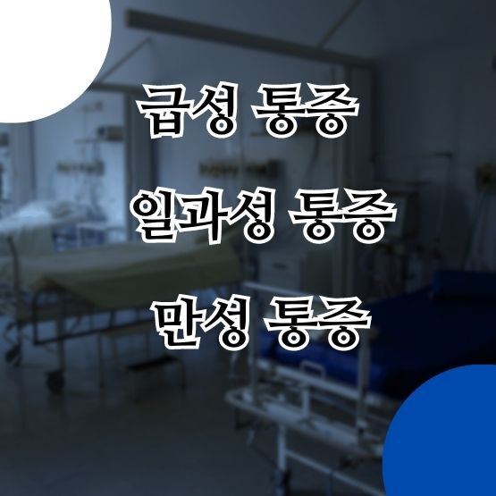  장골근 치골근 허리 통증 골반뼈 불균형