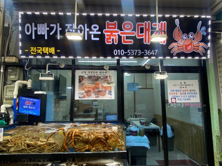 속초 시장 맛집  '아빠가 잡아온 붉은 대게'