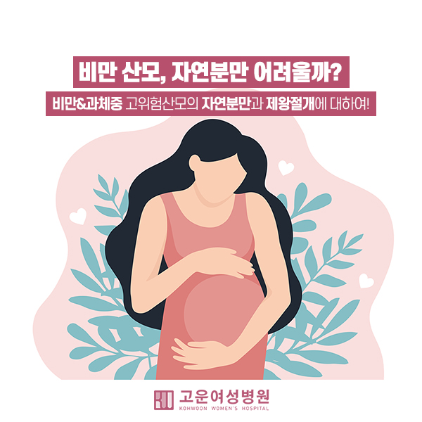  산모가 비만이면, 자연분만이 어려울까? (비만,과체중 고위험산모의 자연분만과 제왕절개!)