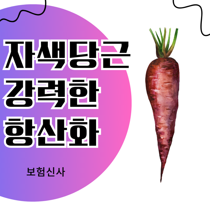 자색당근효능 먹는 방법 알고보니
