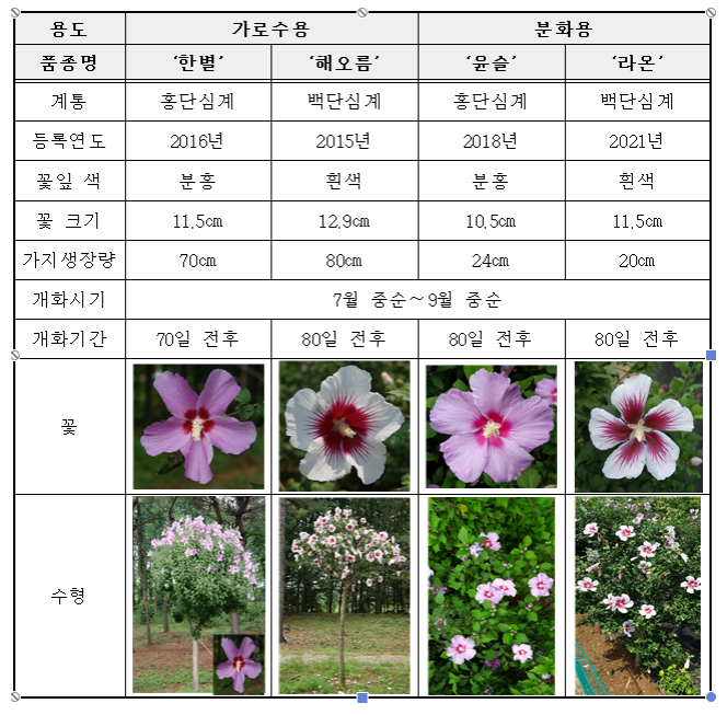 아름다운 여름꽃, 생활 속의 우리 무궁화