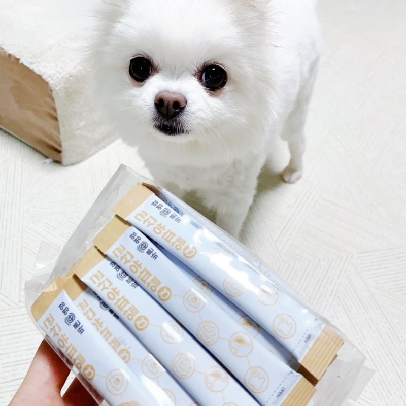 강아지 유산균 효능 및 췌장효소제 강아지소화효소 추천