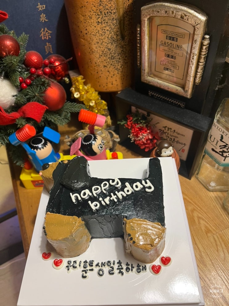  [홍대/연남동] 친절보스 사장님이 계신 오꼬노미야끼 맛집 홍대이자카야 모이정