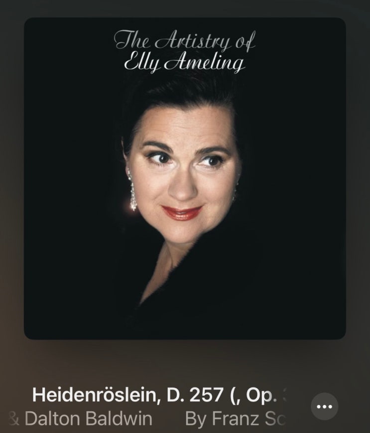  플레이리스트 / 가곡 <들장미> 슈베르트, Heidenröslein, D. 257