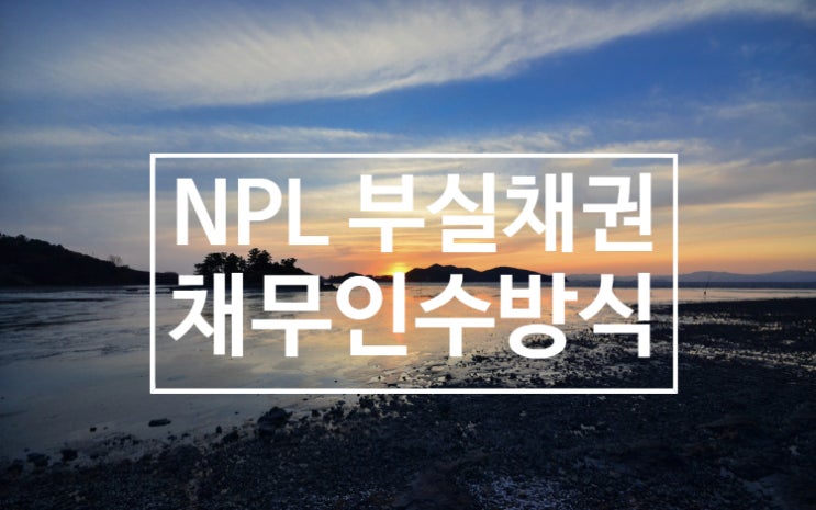  NPL 부실채권의 채무인수방식 투자절차
