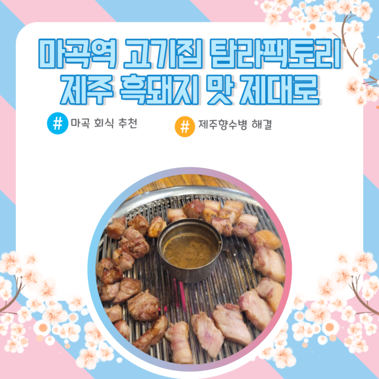  마곡역고기집 추천 탐라팩토리에서 제주 향수병 치료 중
