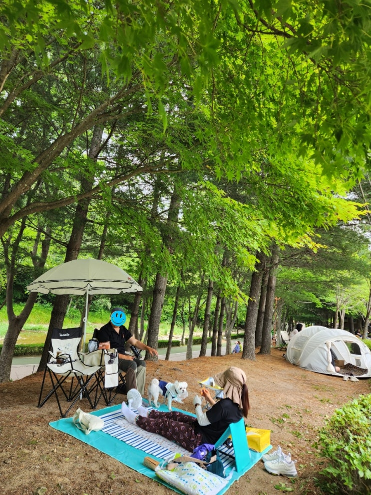 강아지랑 피크닉 분위기 제대로 내고 온 분당 율동공원 나들이 강아지랑 피크닉 분위기 제대로 내고 온 분당 율동공원 나들이