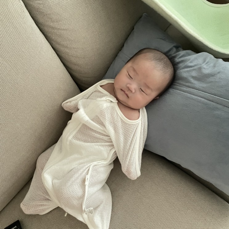  ~53일 조이 | 코어가 돌아오는중! 혼영, 멘탈케어