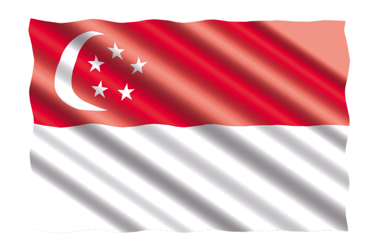 싱가포르 회사 설립 및 관리 Q&A