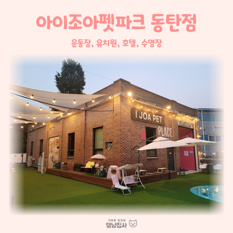 사진 7