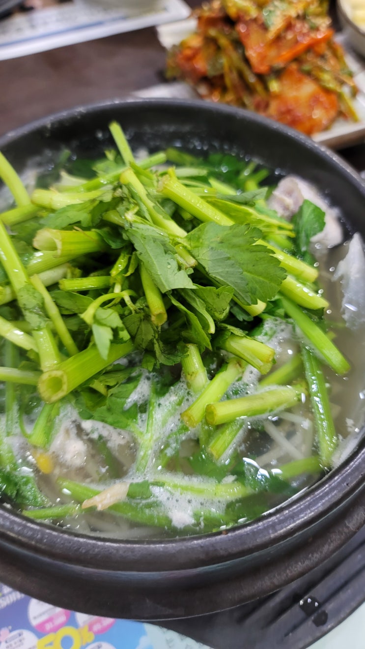  [대전 봉명동] 마산사람도 반한 복어 맛집 : 황산옥