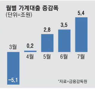 금감원 DSR 개편 검토, 8월~10월중 종합점검 금감원 DSR 개편 검토, 8월~10월중 종합점검