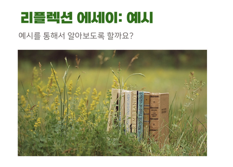  Reflective Essay/paper 작성법