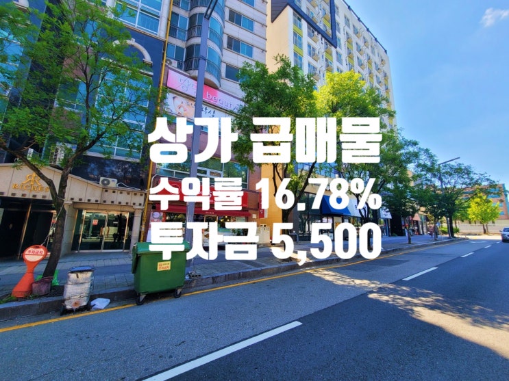  큰게 왔다 투자금 5,500만원, 수익률 16.78% 대전 상가 매매