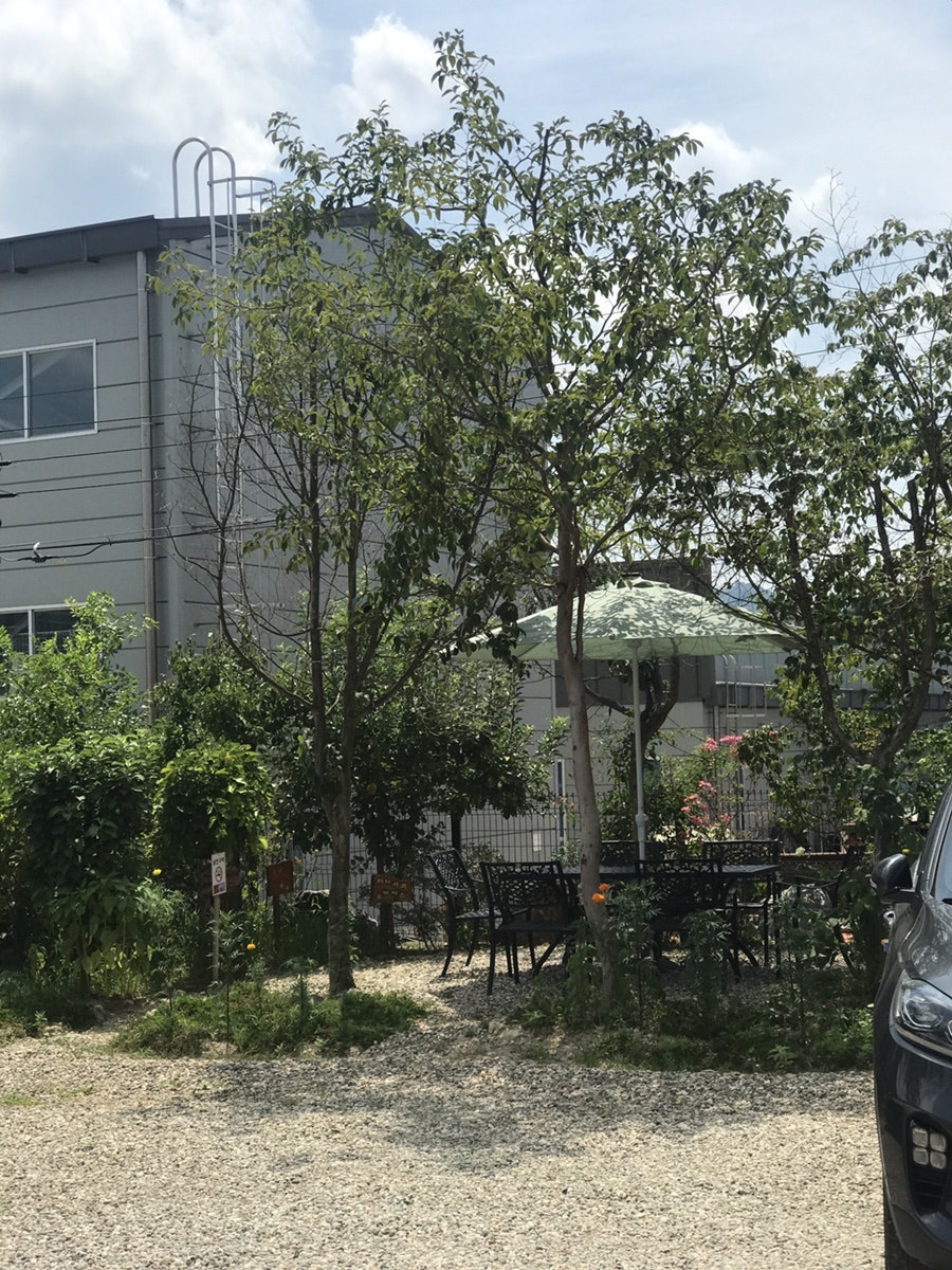 카페엠 사진 6
