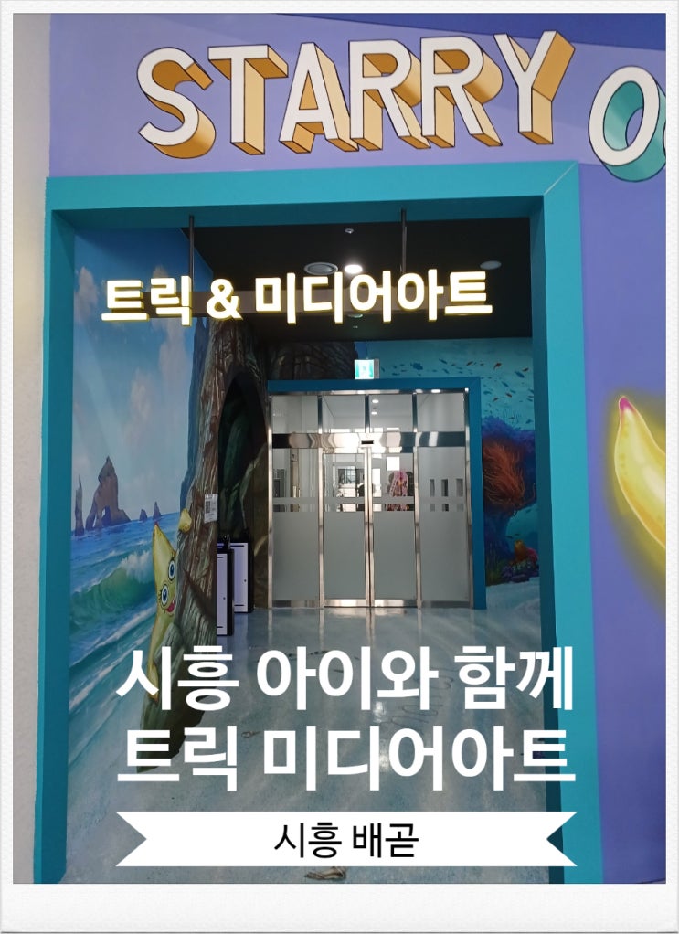 시흥 파라다이브 트릭미디어아트관 시흥 아이와 함께 거북섬 가볼만한곳 내돈내산 후기 시흥 파라다이브 트릭미디어아트관 시흥 아이와 함께 거북섬 가볼만한곳 내돈내산 후기