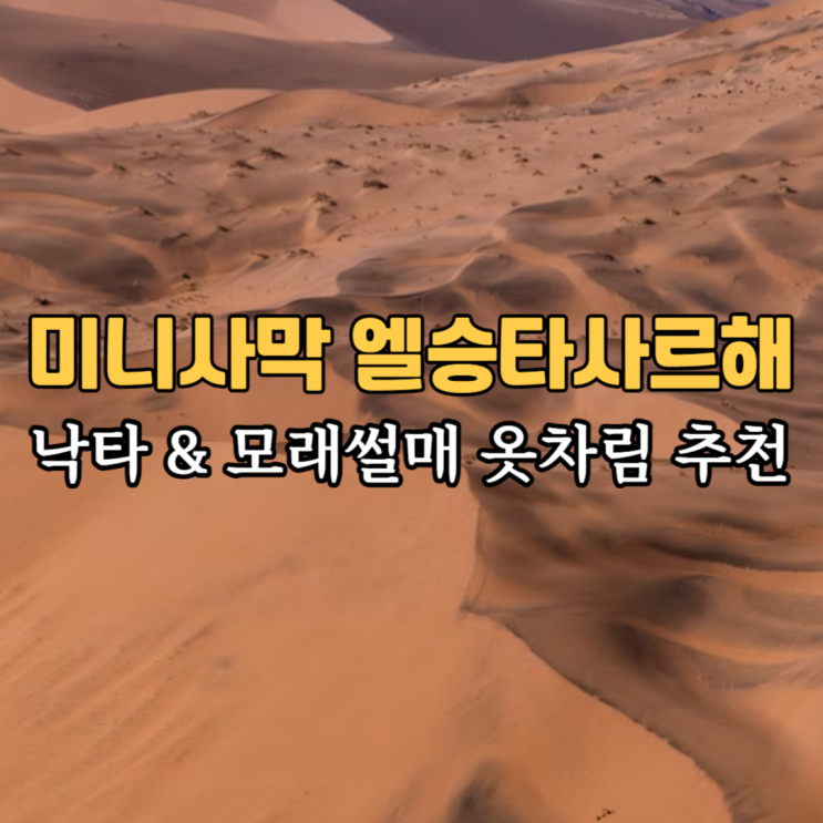  몽골여행 미니사막 엘승타사르해 낙타체험 & 모래썰매 옷 추천