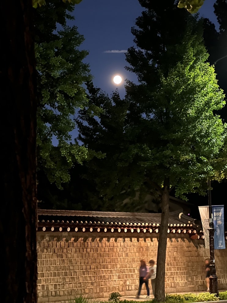  2023.08 (1) ㅣ사토루더서촌ㅣ서촌온그라운드ㅣ컨버스로우블루ㅣ츄바스코샌들ㅣ호카본디8ㅣ헤더윅전시ㅣ해방촌데칼코마니