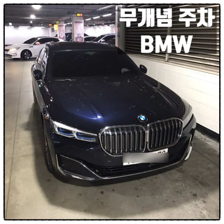 대전 이마트 둔산점 주차장 통로주차 무개념주차 길막 BMW 대전 이마트 둔산점 주차장 통로주차 무개념주차 길막 BMW