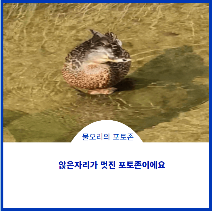  포토존
