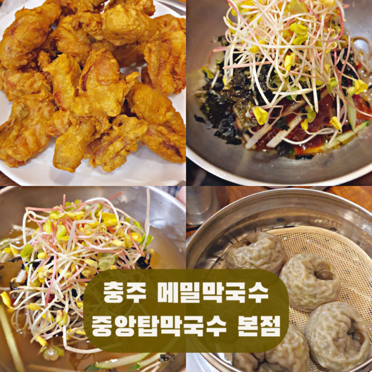  치킨과 막국수의 신박한 조합 충주 중앙탑막국수 중앙탑공원 맛집