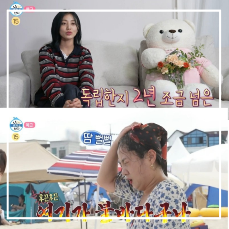 나혼자산다 508회 트와이스 지효 집 소개 화이트 브라운 초록초록 식물들 할일 바로바로 보쌈....