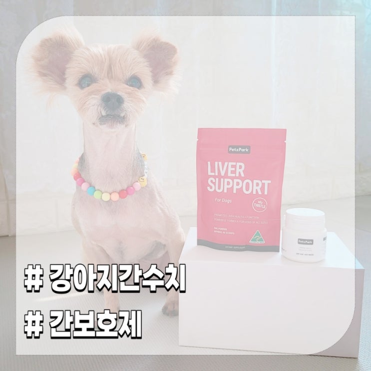  강아지 간보호제 간수치 높을 때 강아지 영양제 펫츠파크