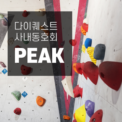 [DQ 조직문화 이야기] 클라이밍 사내동호회 "PEAK"