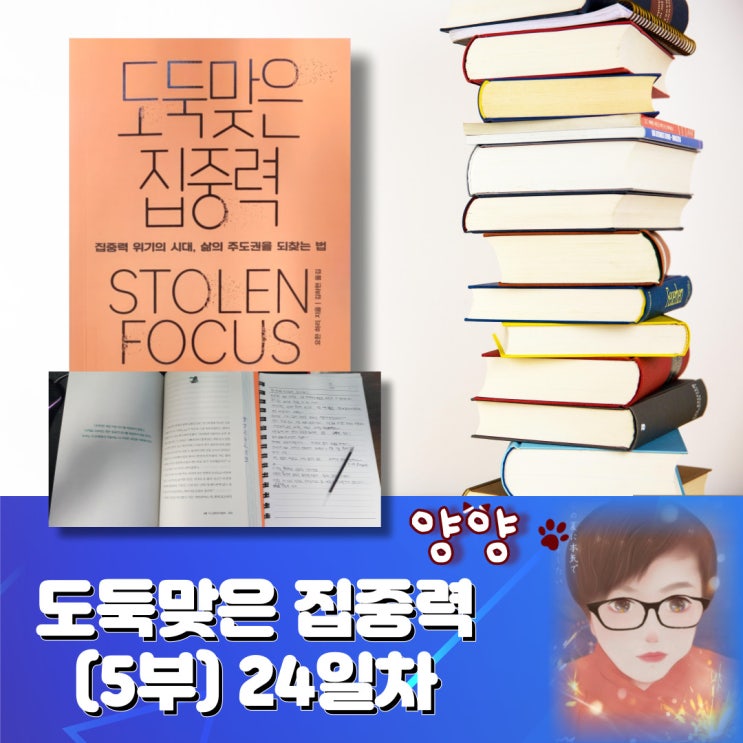  도둑맞은 집중력(5부) 24일차