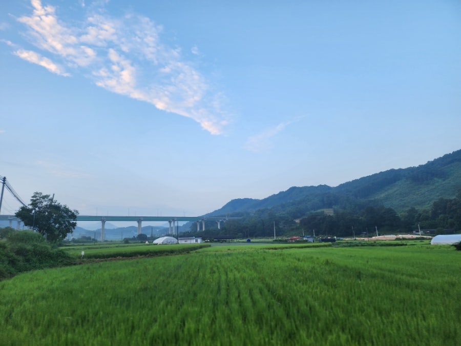 싸리골왕갈비탕 사진 3