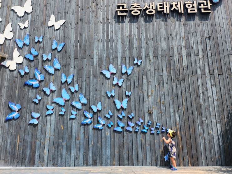  경기도 용인, 수원 32개월 아기랑 갈만한 곳 용인곤충테마파크