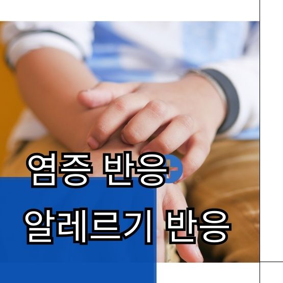  벌레 물렸을 때 가려움 붓기 빠른 방법 응급 대처법