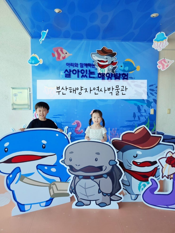  부산 아이와함께 가볼만한 곳 부산해양자연사박물관 예약 주차팁