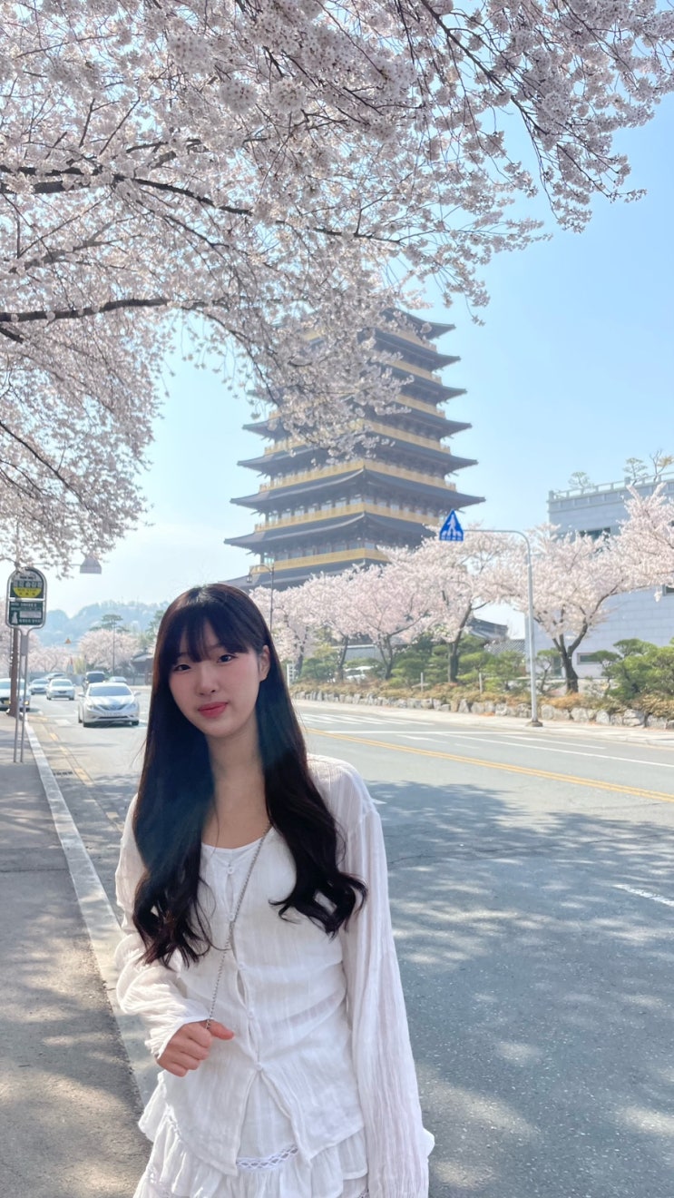  [강니여행] 경주 여행: 봄 경주_황룡원, 소옥, 송대말등대, 황리단길, 카페 솔, 유채꽃밭, 신라제면, 경주 교촌한옥마을, 월정교
