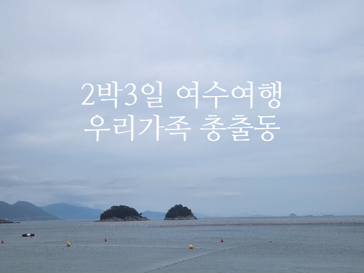  여수2박3일 여행 애견동반 케이블카 야경 고도리