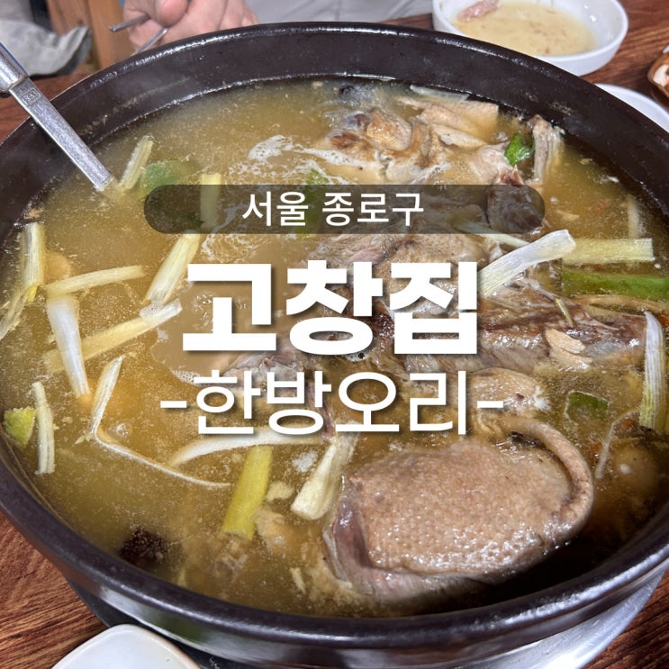  종로맛집 한방오리 고창집 동대문 보양식 숨은맛집