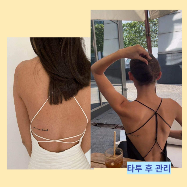 타투 후 관리 연고 바세린 비판텐 술 음주 운동 샤워 수영장 물놀이 어떻게? 타투 후 관리 연고 바세린 비판텐 술 음주 운동 샤워 수영장 물놀이 어떻게?