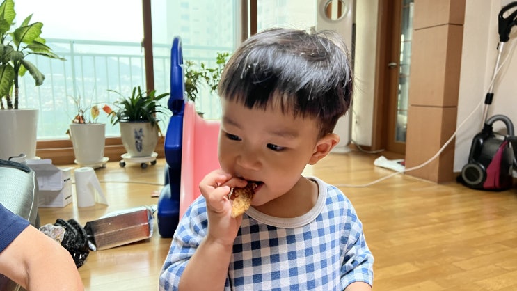  구일역 고척스카이돔 치킨 음식 코코닭(ft. 닭고기, 닭가슴살효능)