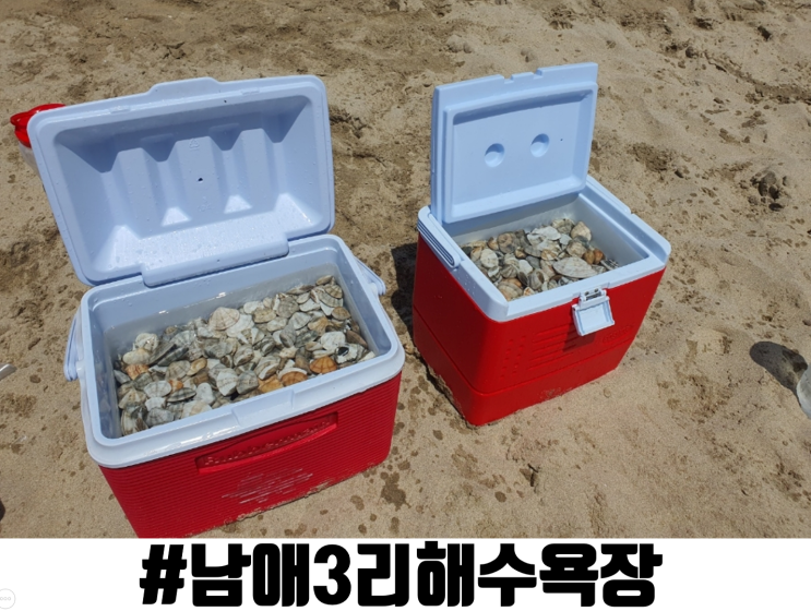  하조대해수욕장, 스노쿨링하고 조개 잡는 방법