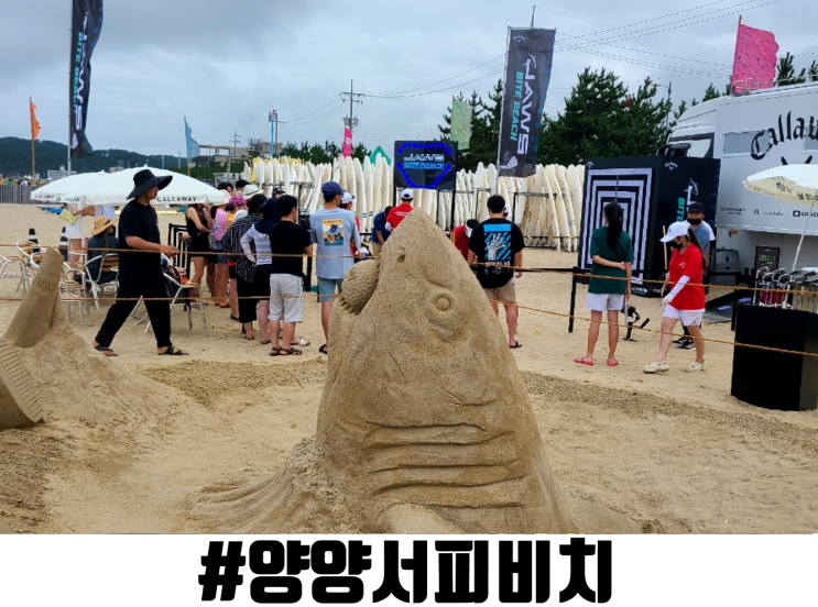  양양 서피비치, 초보 서핑 강습 및 근처 숙소 정보