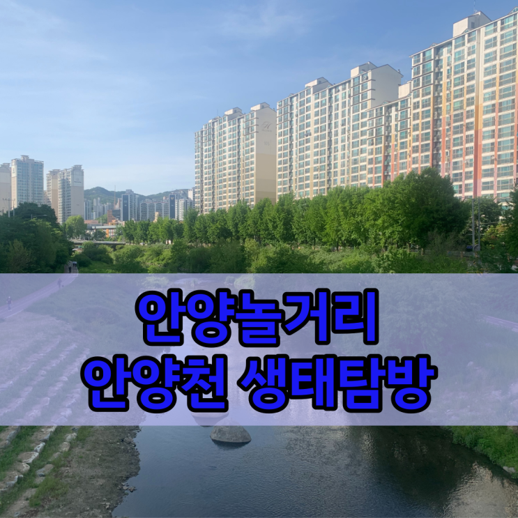  안양놀거리찾으신다면? 안양천따라 사계절 생태탐방해보세요!