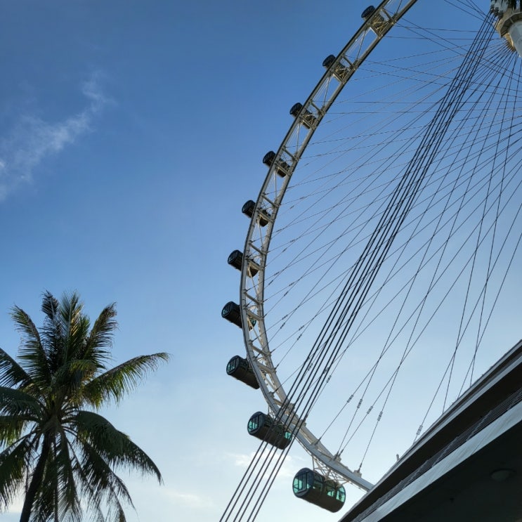 [싱가포르] 5월 3박5일 패키지 여행 코스 DAY 3: 싱가포르 플라이어 관람차 (일시 운행 중단!)