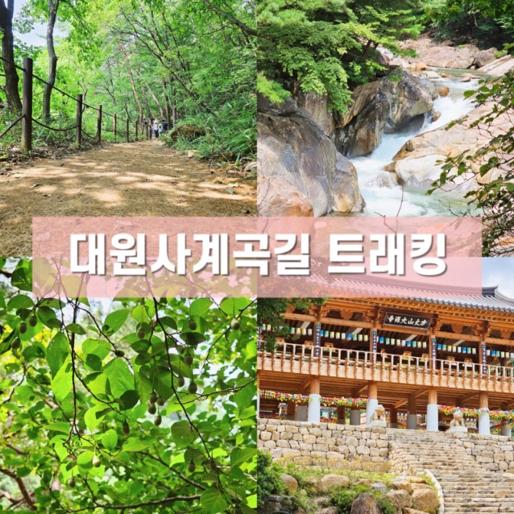  아이와 가볍게 트래킹하기 좋은 경남 산청 대원사계곡길