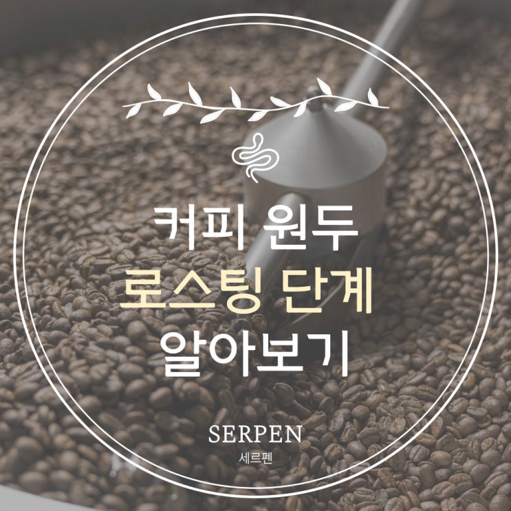  커피 원두 로스팅 단계 배전도에 대해 알아보기