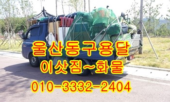 울산동구용달 방어진 정자 감포 양북 양남 입실 모화 외동 울릉도운송. 울산동구용달 방어진 정자 감포 양북 양남 입실 모화 외동 울릉도운송.