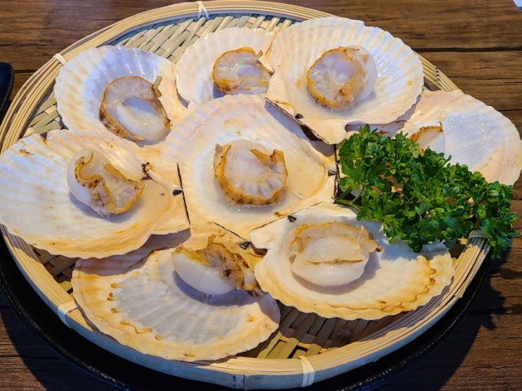  [서울 / 삼성역 술집] 누나네